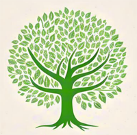 Everwood çeşmeleri